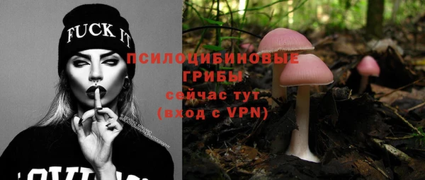 МДПВ Алзамай