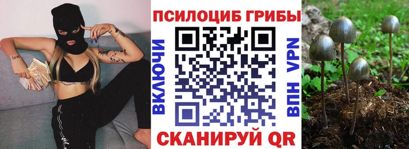 Галлюциногенные грибы мухоморы  Пущино 